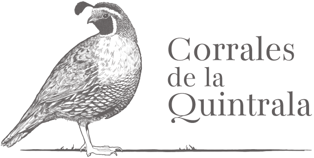 Corrales de la Quintrala